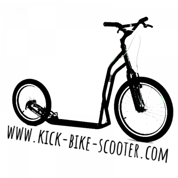 kick bike scooter